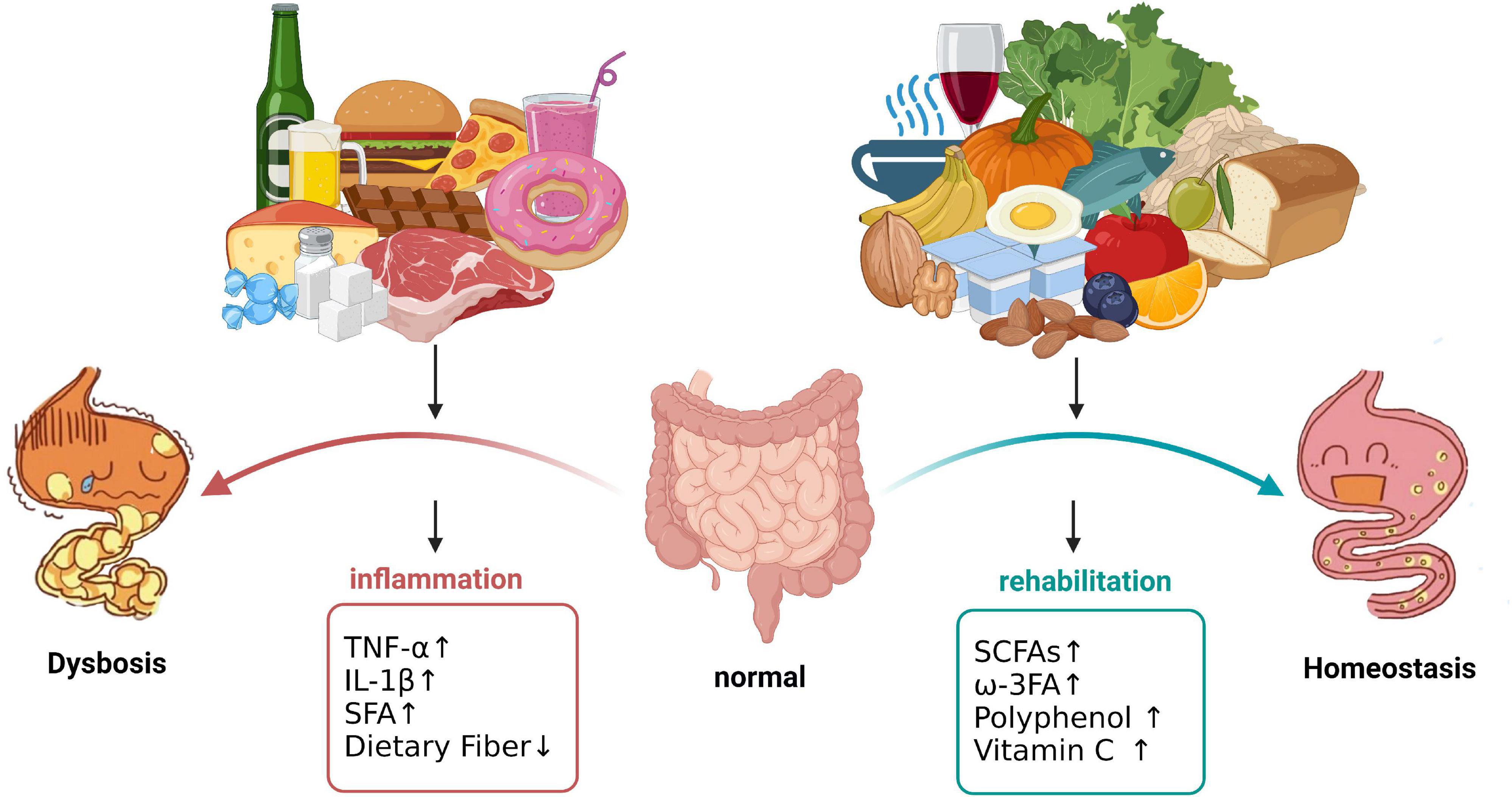 Comparison and recommendation of dietary patterns based on nutrients for Eastern and Western patients with inflammatory bowel disease
